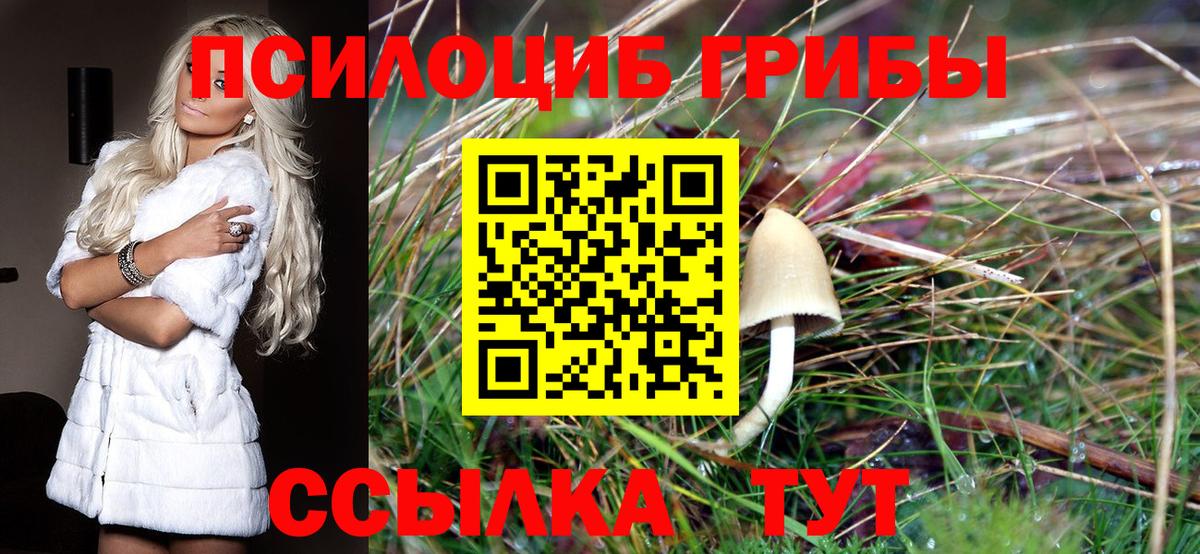 Брянск  Галлюциногенные грибы Psilocybine cubensis  Псилоцибиновые грибы Cubensis  Вход с VPN 